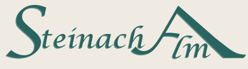 Ferienhaus logo