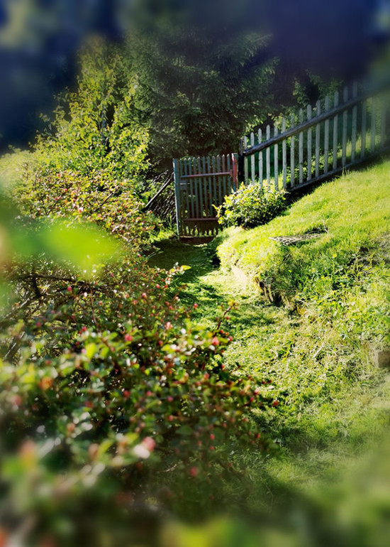 Ferienhaus Ansicht Gartenwegr